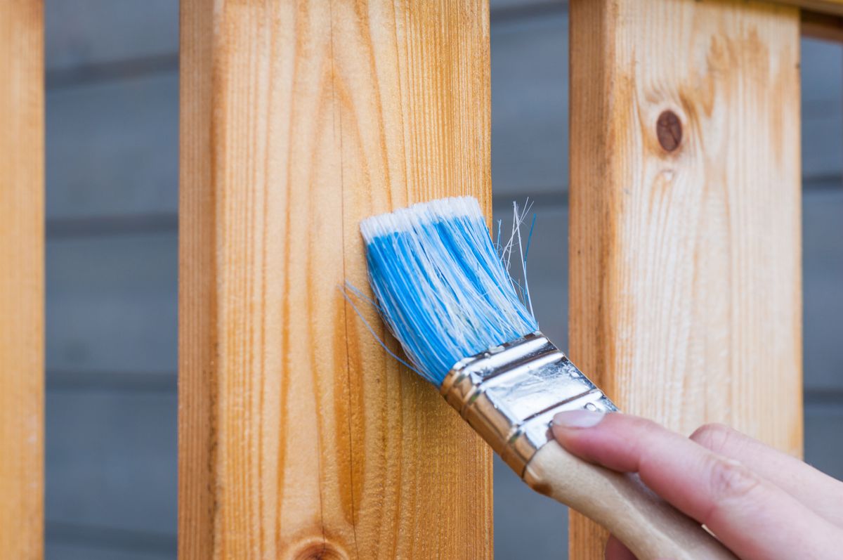 Brushing stain onto timber fence palings
